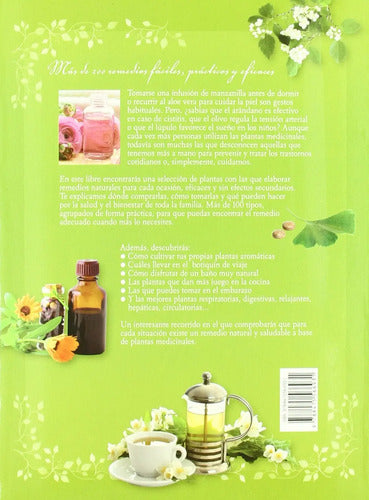 Plantas Medicinales En Casa - Ayuda Natural - Oceáno Ambar