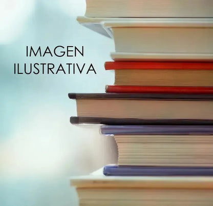 9791399170641-EL-LIBRO-DE-RUMI-Imagen3