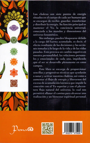 Sanación De Los Chakras Y Conciencia Del Karma - Swami Keith