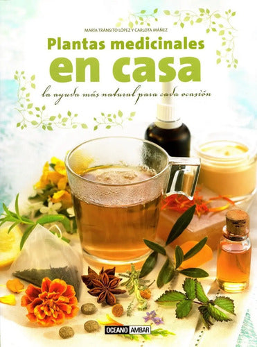 Plantas Medicinales En Casa - Ayuda Natural - Oceáno Ambar