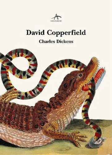 9788484282006-David-Copperfield-Portada1