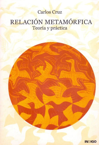 Relación Metamórfica - Teoría Y Práctica